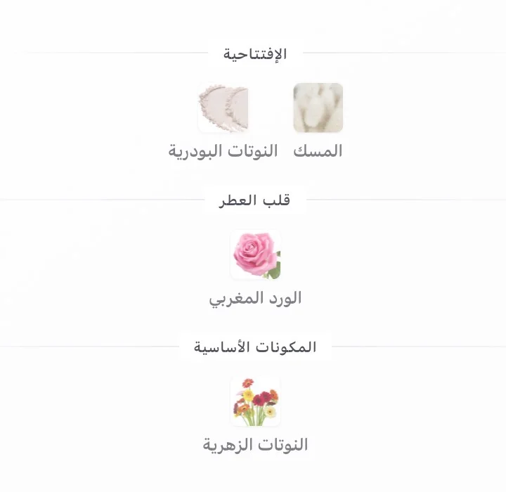 سو سويتي  3